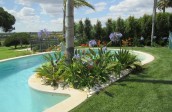 garden design - pool-algarve002